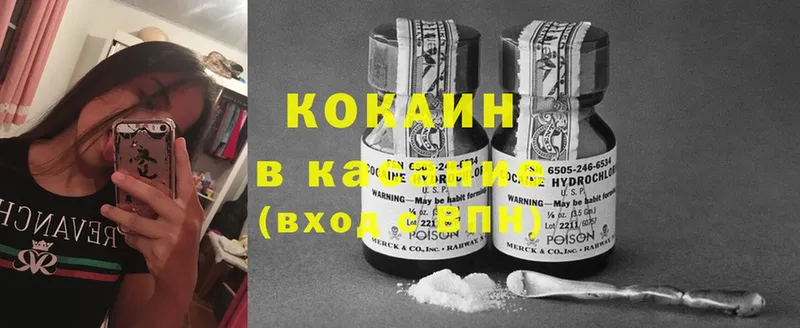 наркошоп  Заречный  Cocaine FishScale 